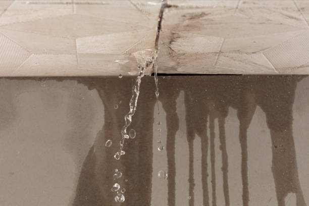 Professional Structural Drying technician working in Ashville, OH